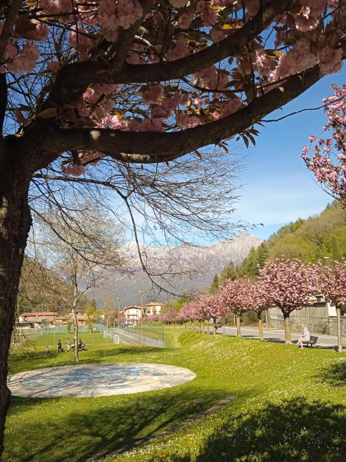 Mountains And Lake Como Apartments Valbrona ภายนอก รูปภาพ
